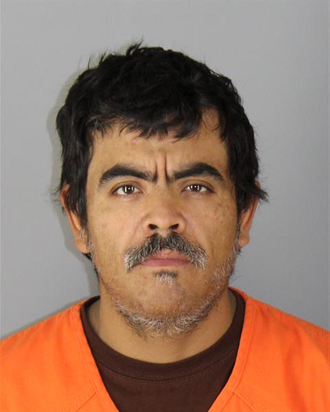 Booking photo of Delfino Silva