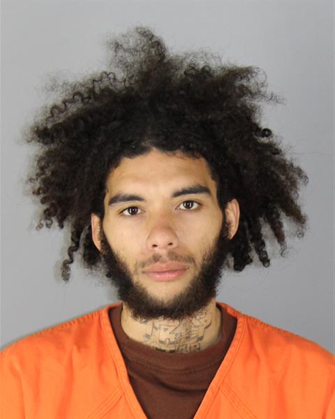 Booking photo of Avion Hamer
