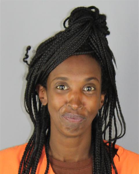 Booking photo of Najmo Farah