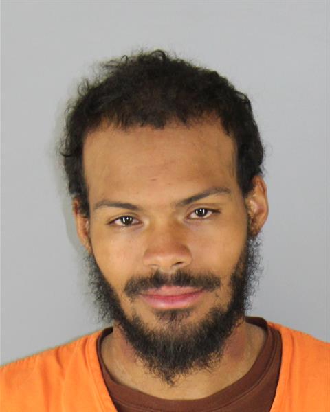 Booking photo of Darian Rosenthal