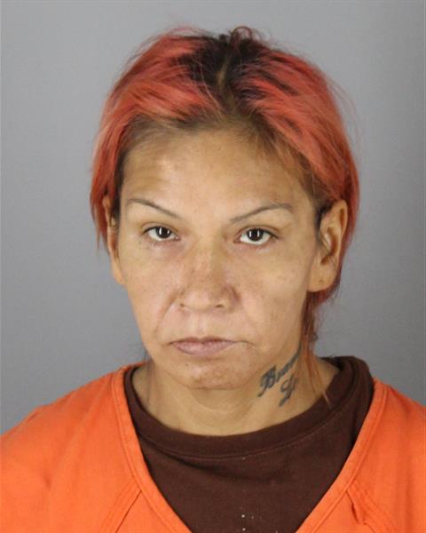 Booking photo of Sheila Jones