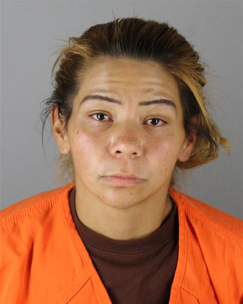 Booking photo of Elissa Reed