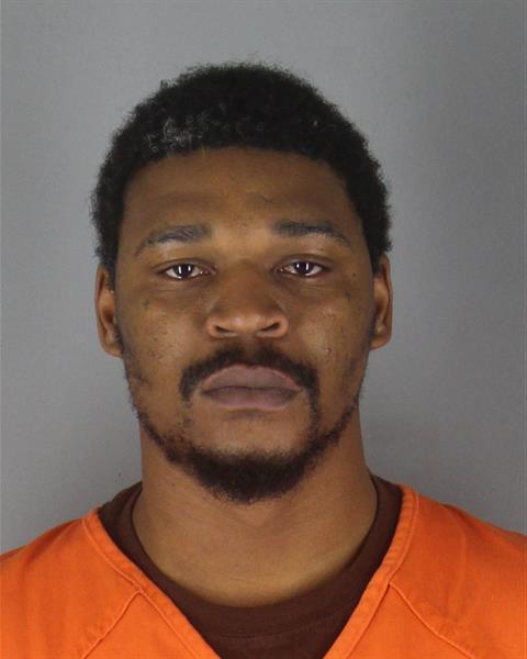 Booking photo of Ara Davis