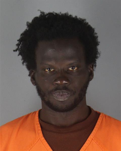 Booking photo of Paul Ochan