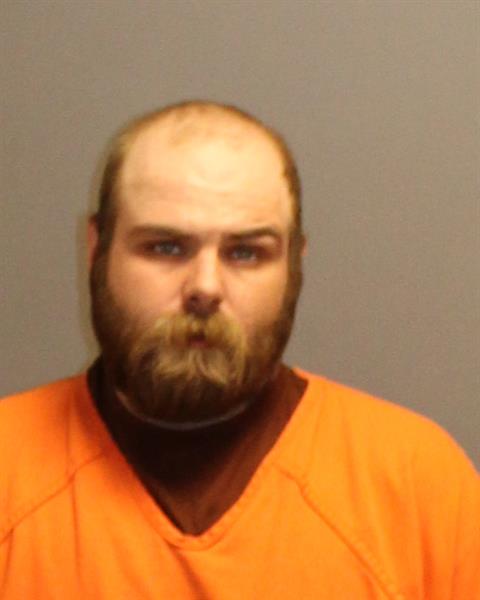 Booking photo of River Foxen-vigness