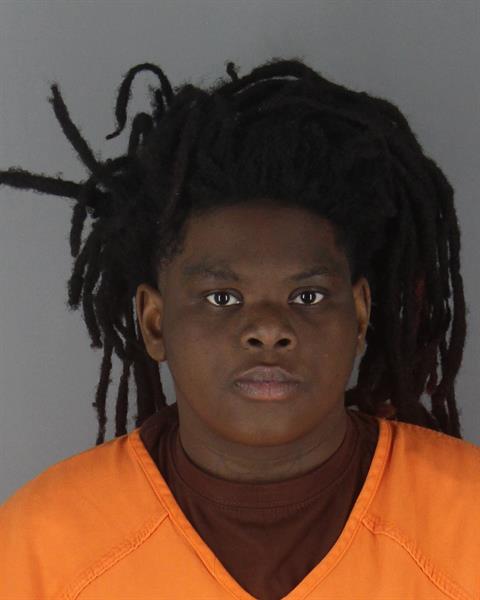 Booking photo of Annalee Mays