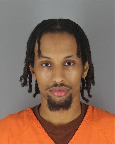 Booking photo of Anas Ali