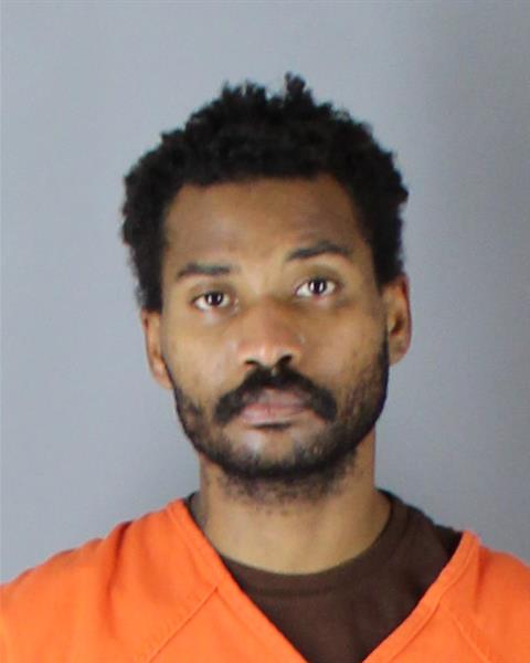 Booking photo of Savion Johnson-stanley