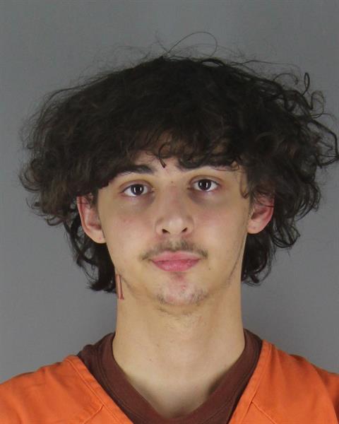 Booking photo of William Nelson