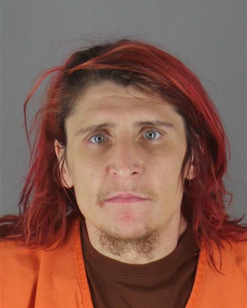 Booking photo of Joshua Jenson