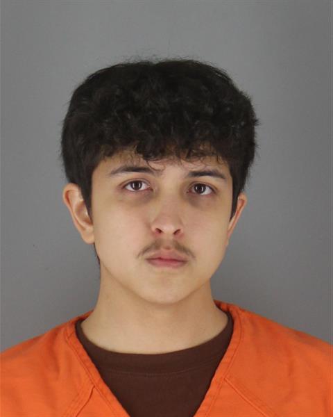 Booking photo of Ramone Osterman