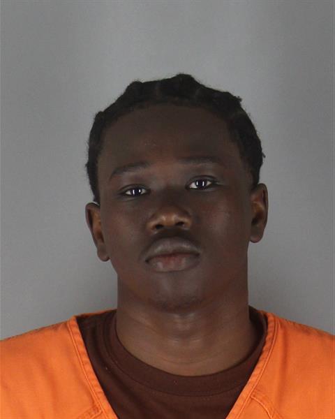 Booking photo of Jonah Gash