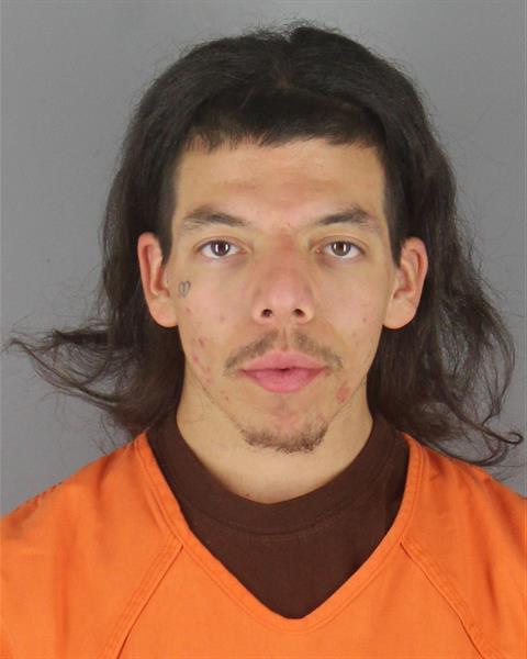 Booking photo of Michael Papasodora