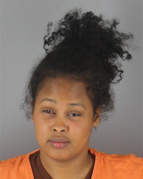 Booking photo of Hibaag Abdala