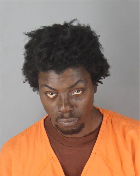 Booking photo of Levi Beals