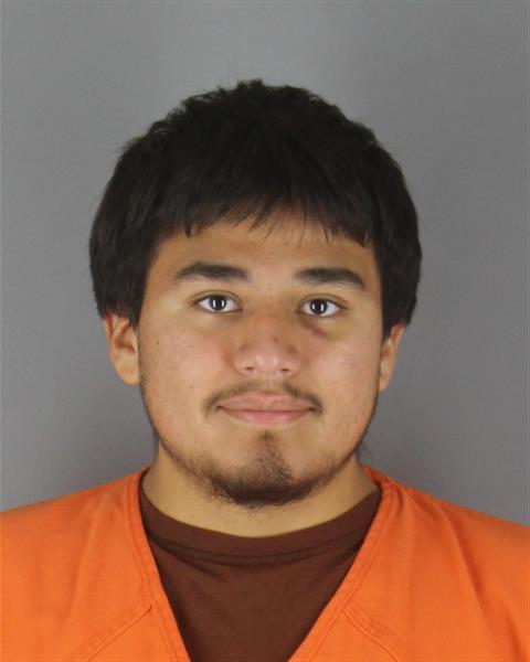 Booking photo of Daniel Robertson