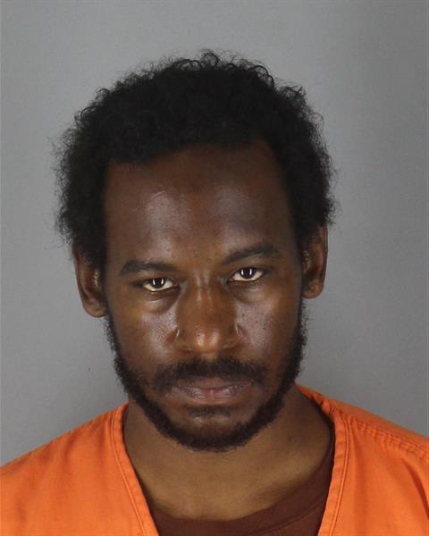 Booking photo of Tysica Watkins