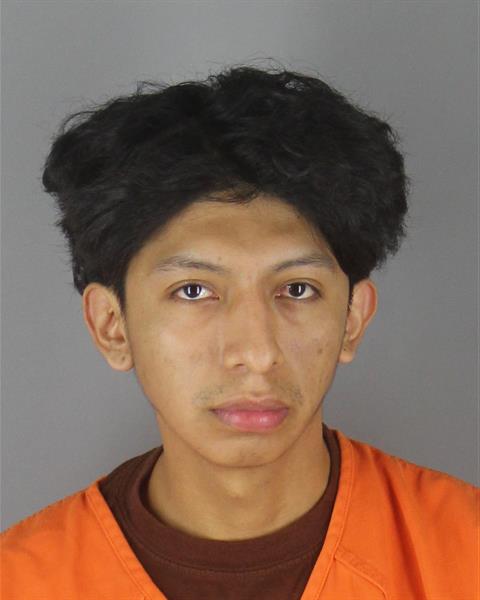 Booking photo of Dannes Anilema Yuquilema