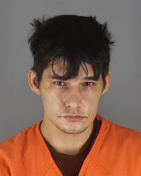 Booking photo of Shadow Seelye