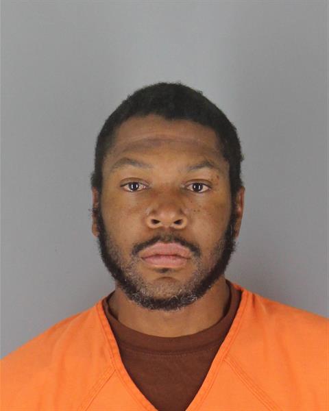 Booking photo of Darsa Belin