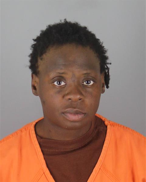 Booking photo of Temeka Nichols