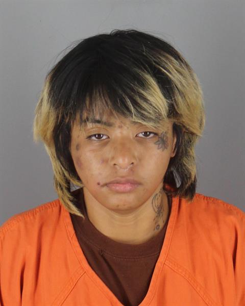 Booking photo of Michelle Nin