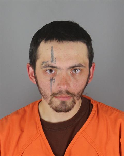 Booking photo of Damon Fenske