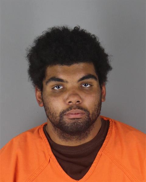 Booking photo of Terrell Hauser