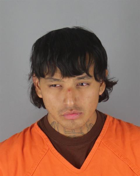 Booking photo of Rowan White