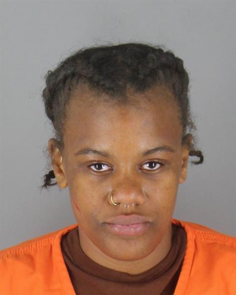 Booking photo of Patricea Taylor