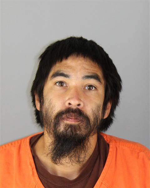 Booking photo of Dominique Curry