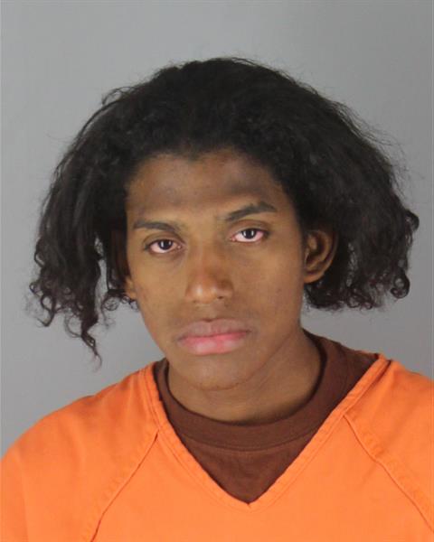 Booking photo of William Silva