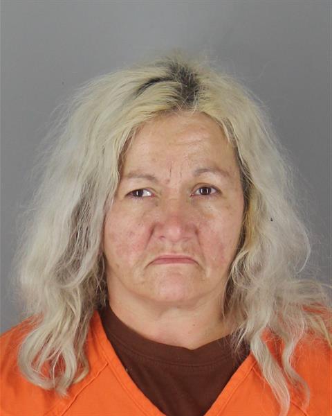 Booking photo of Julie Eckhart