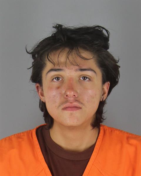 Booking photo of Michael Johns