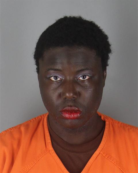 Booking photo of Michael Hopkins