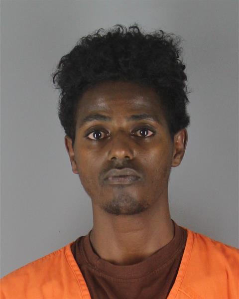Naol Tilleskjor booking photo