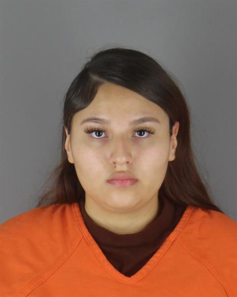 Kaedynce Ironwing booking photo
