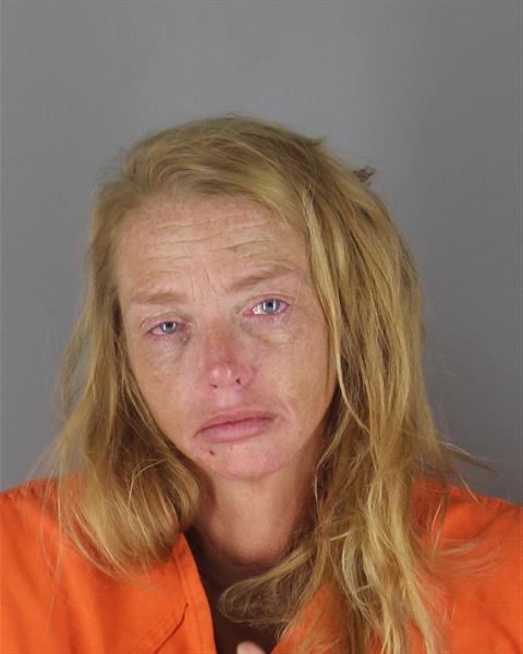 Brenna Ansari booking photo