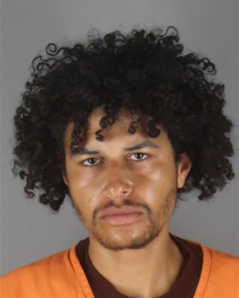 Tommie Gaston booking photo
