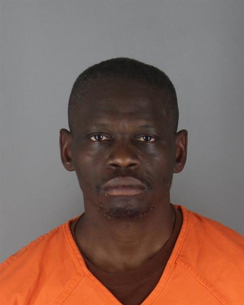 Danya Mckinnie booking photo