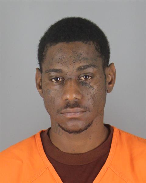 Ethan Gulley booking photo