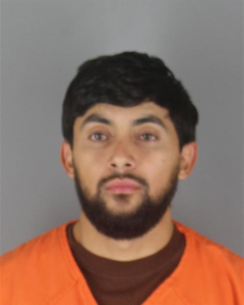 Imael Zeledon Lumbi booking photo