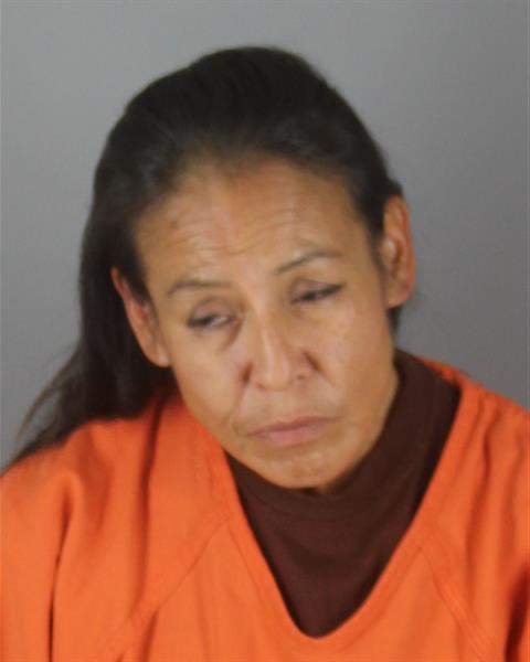 Lori Smith booking photo