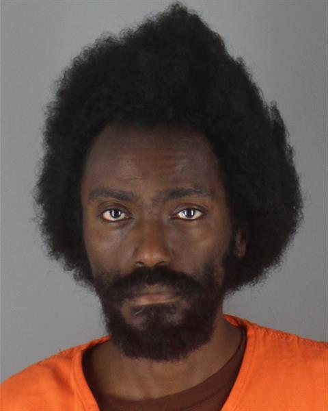 Tselote Abebe booking photo