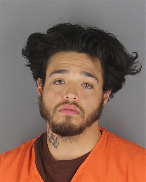 Stevie Samaniego booking photo