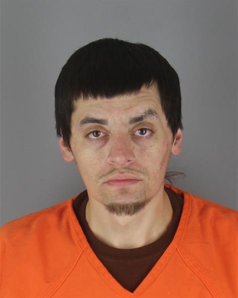Lance Wilkins booking photo