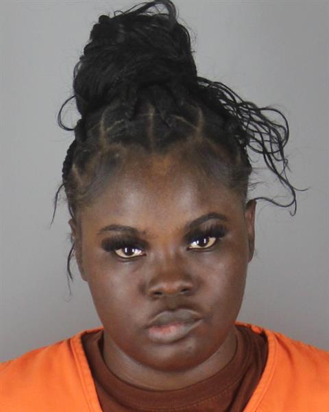 Preslyn Karnuah booking photo