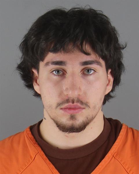 Riley Sundine booking photo