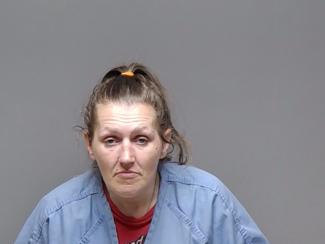Booking photo of Cheryl Marie Powell