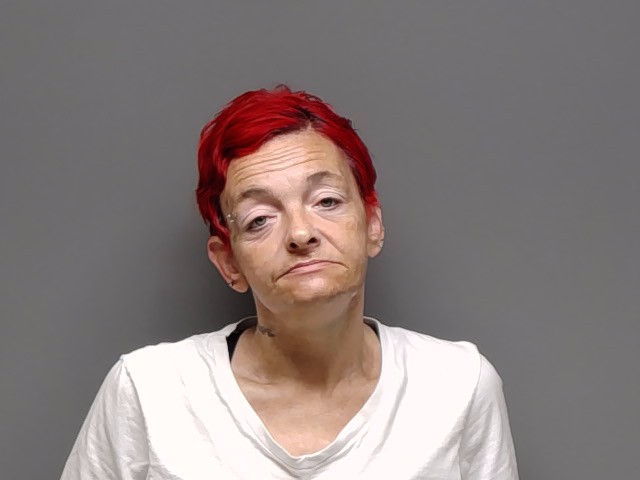 Booking photo of Melissa Diane Hurd